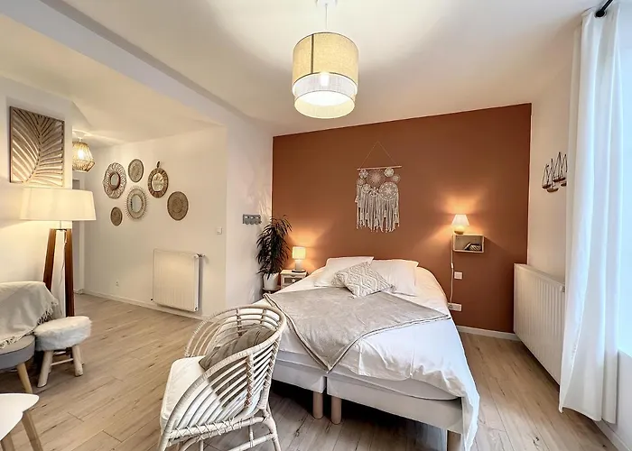 Appart Le Scandinave - Maison 1911 - Confort & Prestige